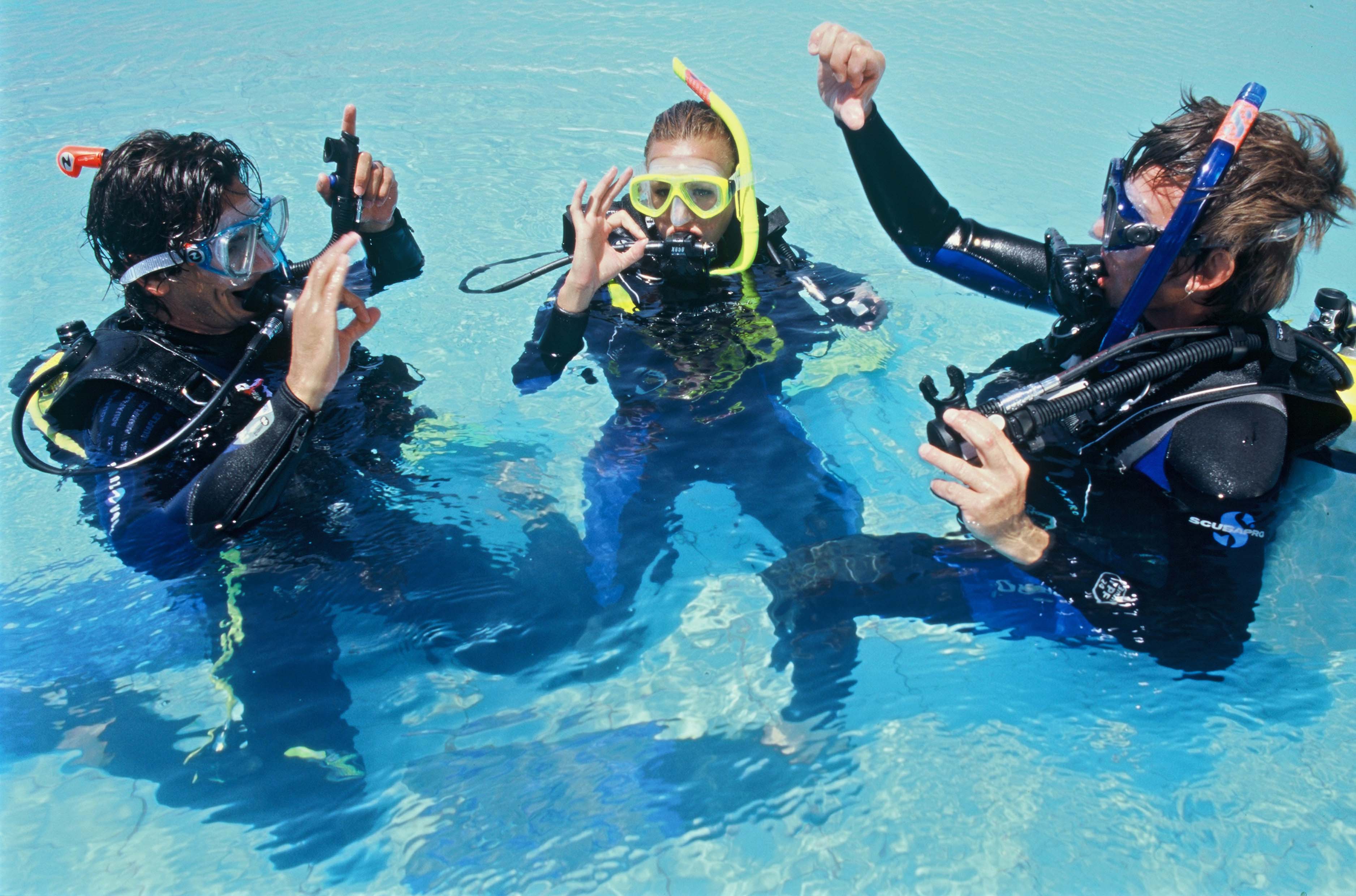 OPEN WATER DIVER